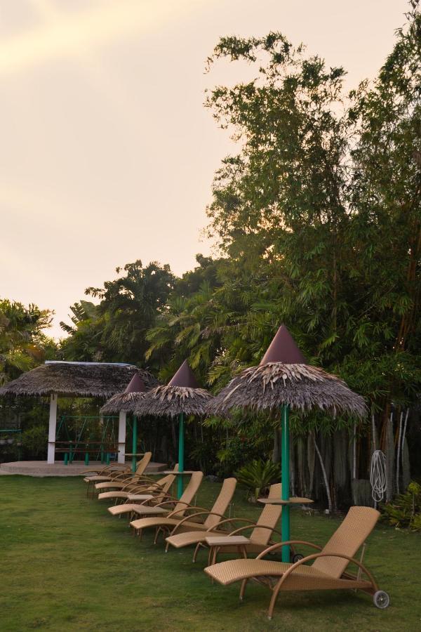 Marcosas Cottages Resort Moalboal Exterior photo